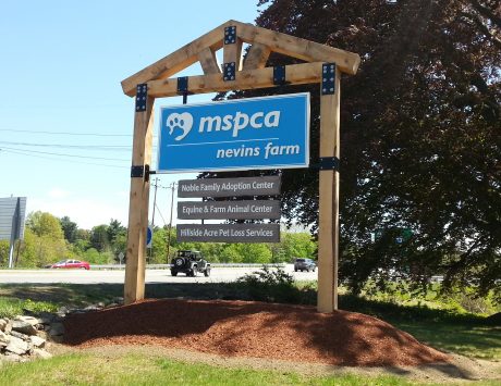 MSPCA Pylon Sign